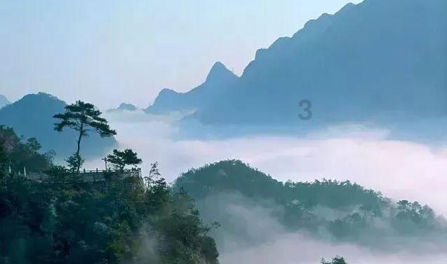 雷竞技比分