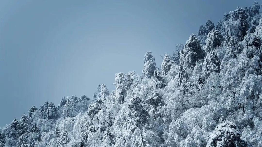 八字精髓，官杀混杂的八字如何分析大运喜忌