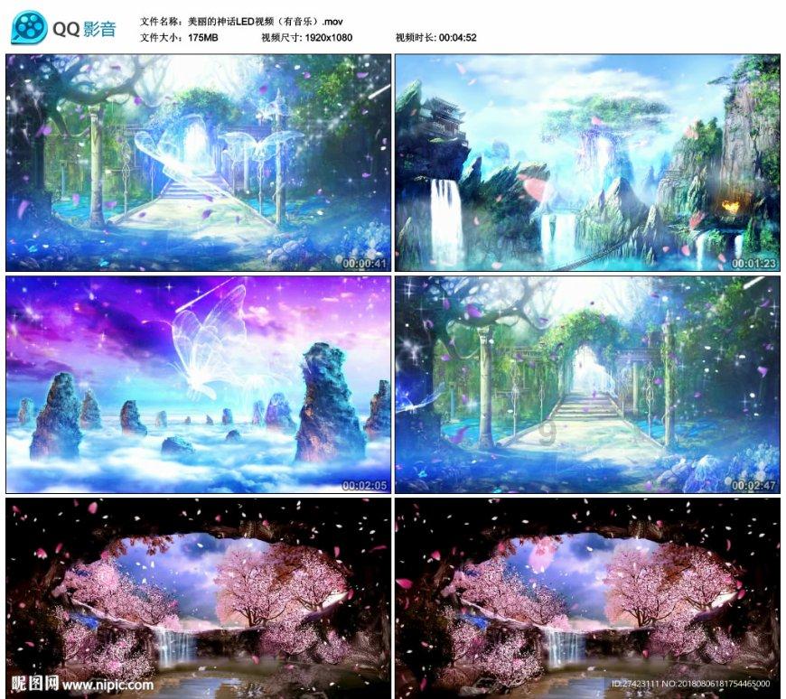 春雨直播app